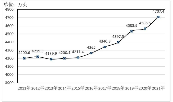 ������(�й���)���޹�˾����