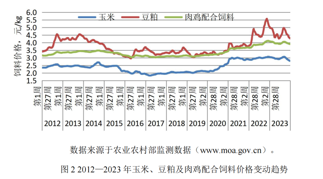 ������(�й���)���޹�˾����