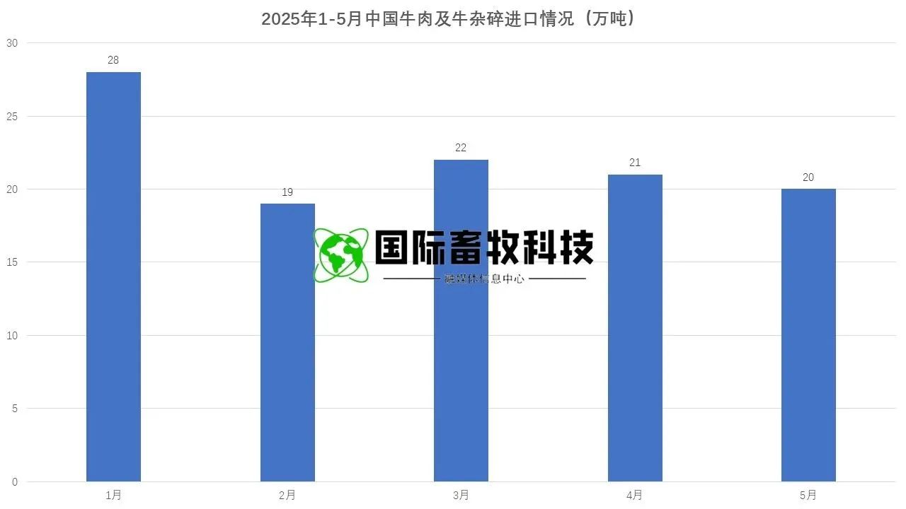 ������(�й���)���޹�˾����